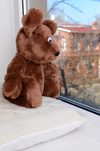 Brinquedo-urso olhando pela janela close-up — Fotografia de Stock