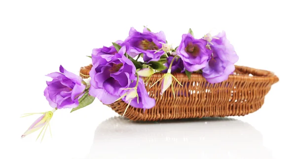 Paarse kunstmatige eustoma in mand geïsoleerd op wit — Stockfoto