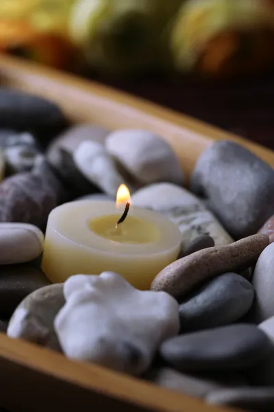 Ξύλινο μπολ με σπα πέτρες και κεριά στο ξύλινο τραπέζι, σε φόντο λουλούδια — Φωτογραφία Αρχείου