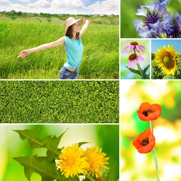 Collage of summer time Stock Photo