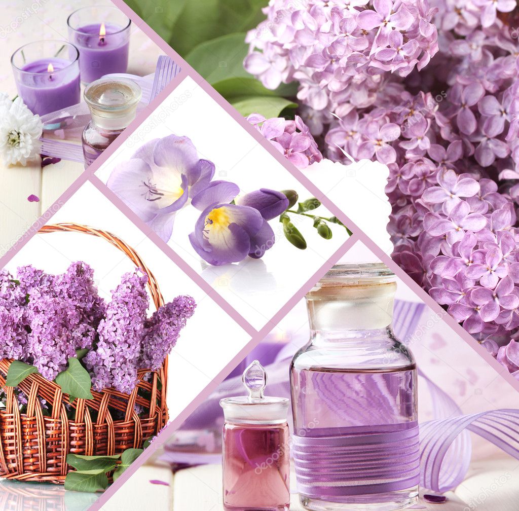 Collage of photos in purple colors