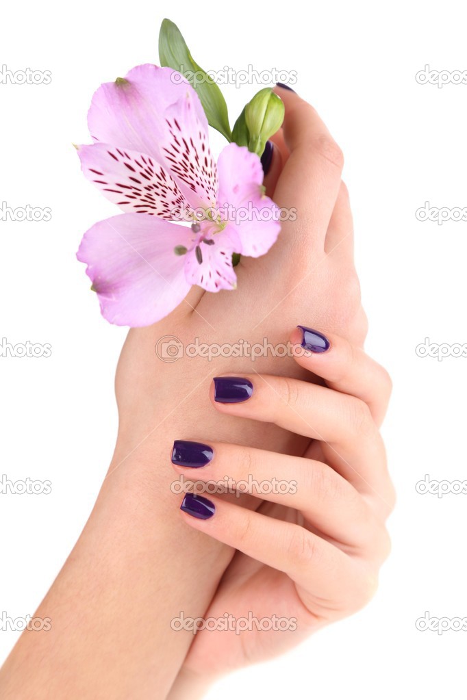 Beautiful woman hands with flower isolated on white