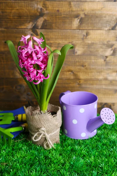 Composition with garden equipment and beautiful pink hyacinth flower in pot, on green grass, on wooden background — Stock Photo, Image