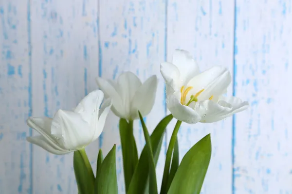 Beautiful tulips on wooden background — Stock Photo, Image