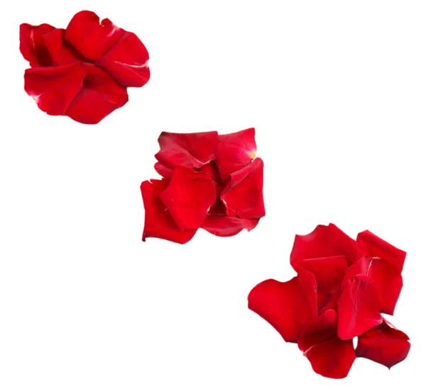 Pétalas de rosa vermelhas bonitas, isoladas em branco — Fotografia de Stock