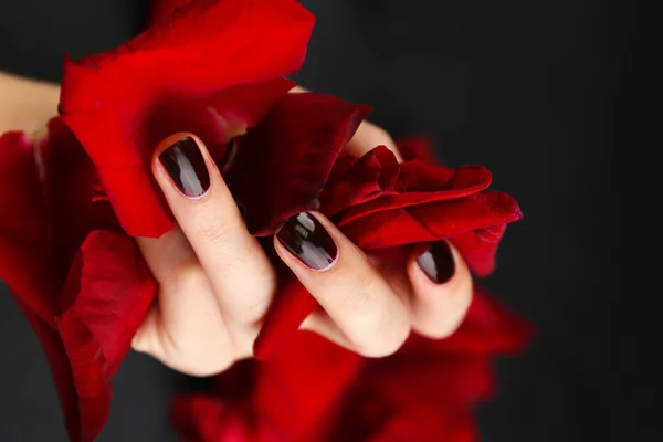 Hermosos pétalos de rosa roja en mano femenina, sobre fondo negro —  Fotos de Stock