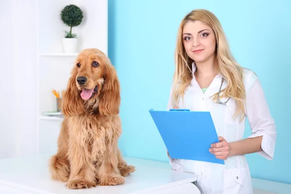Schöne junge Tierärztin mit Hund in Klinik — Stockfoto