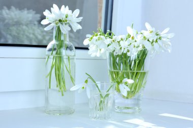 kardelen vazolar üzerinde pencere içinde güzel buketler