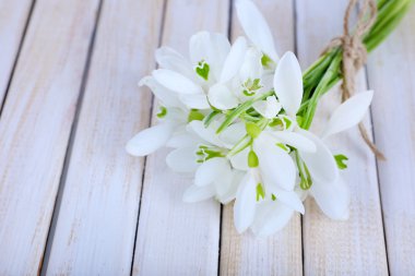 kardelen ahşap zemin üzerine vazo içinde güzel buketler