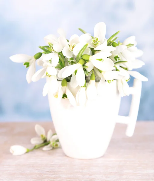 Schöne Schneeglöckchen in Tasse auf blauem Hintergrund — Stockfoto