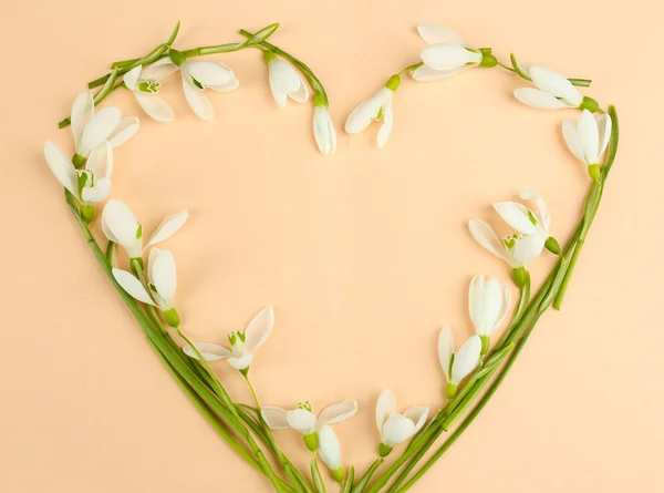 Beautiful snowdrops on beige background — Stock Photo, Image
