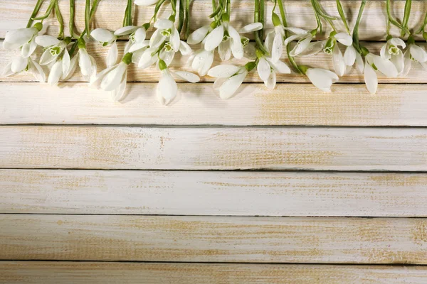 Hermosas nevadas sobre fondo de madera — Foto de Stock