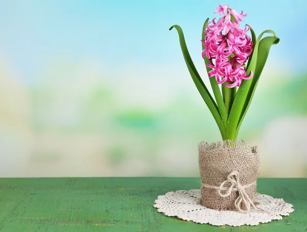 Beautiful pink hyacinth flower in pot, on color wooden table, on bright background — Stock Photo, Image