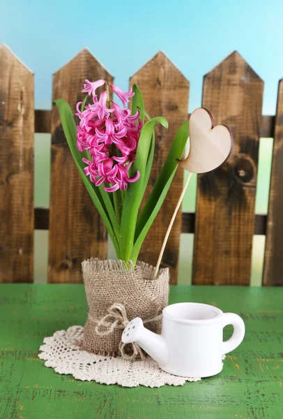 Bela flor de jacinto rosa no pote, na mesa de madeira a cores, no fundo brilhante — Fotografia de Stock