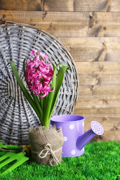 Composition avec équipement de jardin et belle fleur de jacinthe rose en pot, sur herbe verte, sur fond bois — Photo