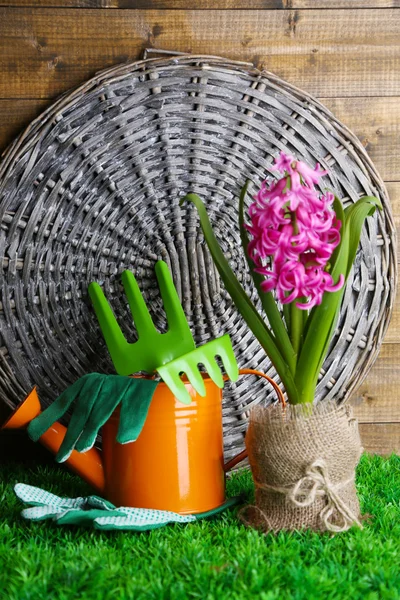 Samenstelling met tuin apparatuur en mooie roze hyacint bloem in pot, op groen gras, op houten achtergrond — Stockfoto