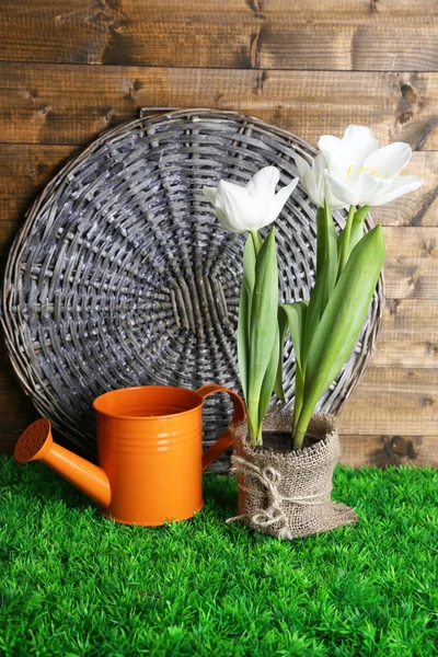 木製の背景に、緑の草に鍋に美しいチューリップ — ストック写真