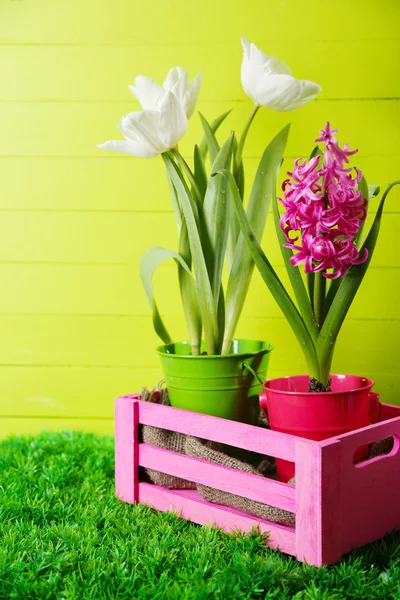 Beautiful tulips and hyacinth flower on  wooden box on color wooden background — Stock Photo, Image