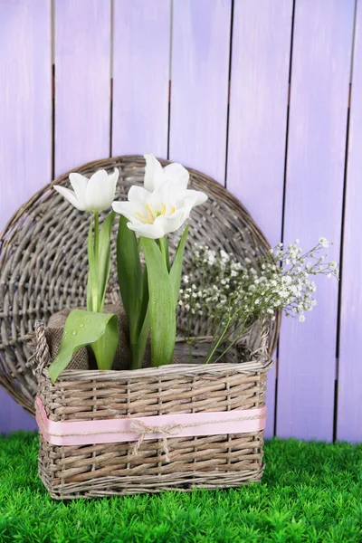 Beautiful hyacinth flower in wicker basket, on green grass on color wooden background — Stock Photo, Image
