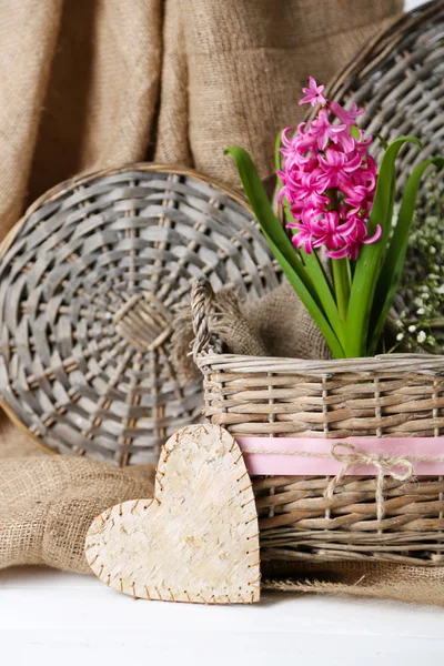 Beautiful hyacinth flower in wicker basket, on color wooden background — Stock Photo, Image