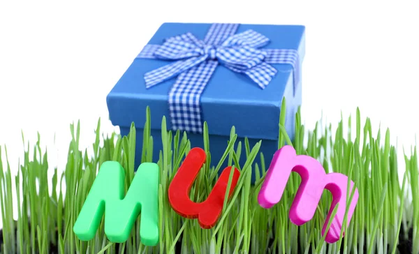 Geschenkbox für Mama auf Gras auf farbigem Hintergrund — Stockfoto