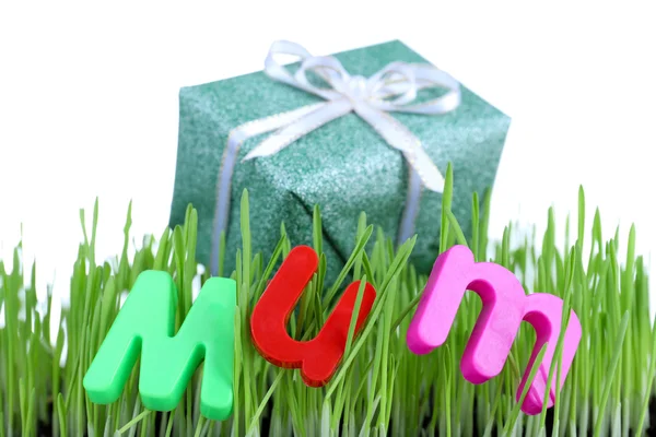 Geschenkbox für Mama im Gras aus nächster Nähe — Stockfoto