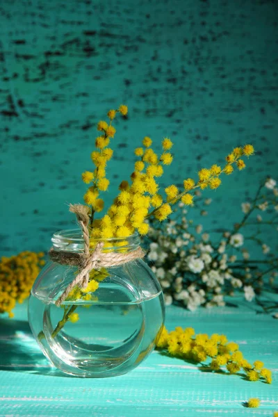 Ramoscelli di fiori di mimosa in vaso su tavolo di legno blu — Foto Stock