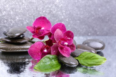Güzel çiçek açan orkide su damlaları ve açık renk arka plan üzerinde spa taşlar ile kompozisyon