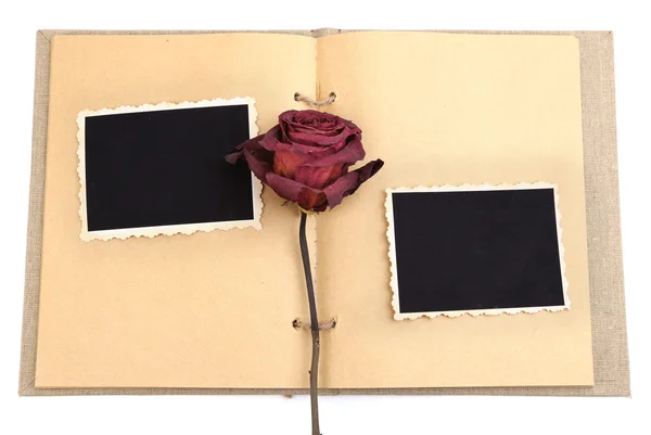 Prázdné staré fotografie v albu a sušených květin, izolovaných na bílém — Stock fotografie