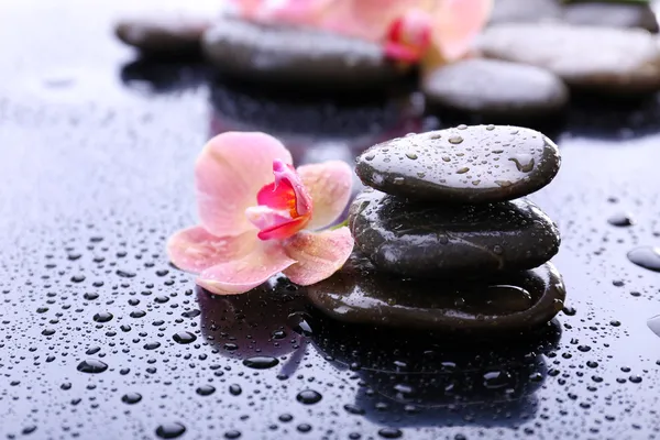 Composição com a orquídea florescendo bonita com gotas de água e pedras do spa, no fundo cinzento claro — Fotografia de Stock