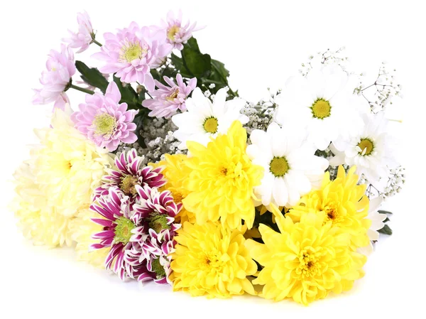 Schöne Chrysanthemenblüten isoliert auf weiß — Stockfoto