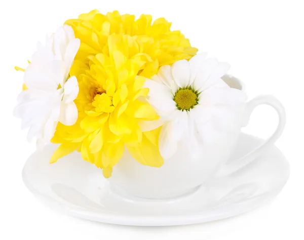 Hermosas flores de crisantemo en copa aislada en blanco —  Fotos de Stock