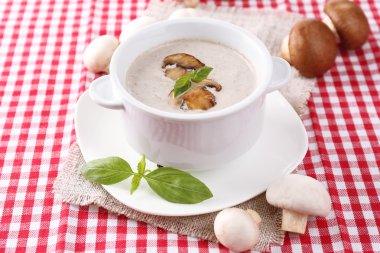 peçete zemin üzerine beyaz tencerede mantar çorbası
