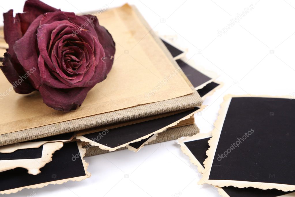 Blank old photos in album and dried flower, isolated on white