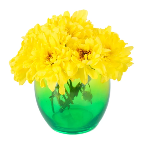 Schöne Chrysanthemenblüten in der Vase isoliert auf weiß — Stockfoto