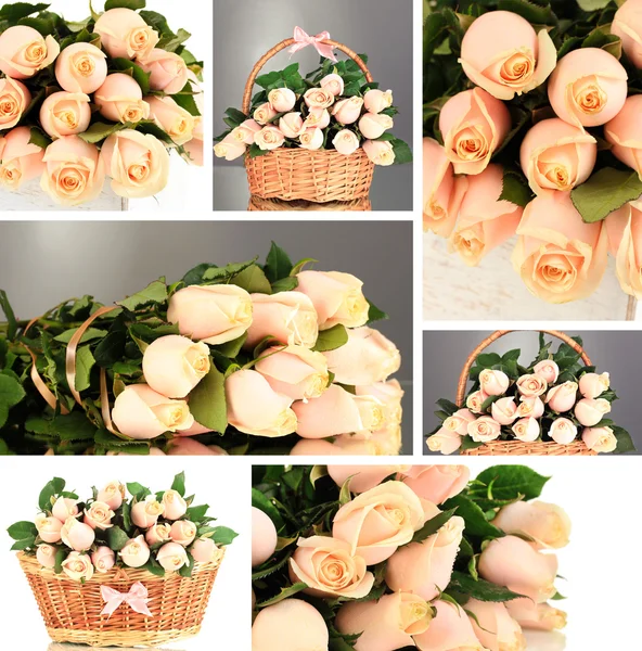 Collage aus Rosen Nahaufnahme — Stockfoto