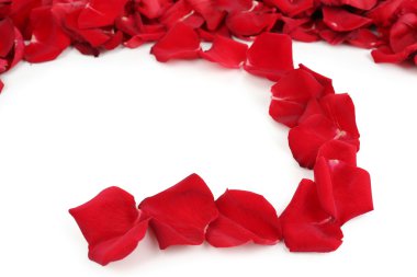 beyaz izole güzel kırmızı gül yaprakları