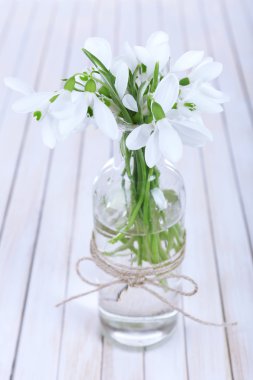 kardelen ahşap zemin üzerine vazo içinde güzel buketler