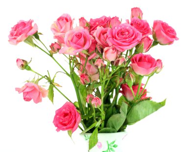 güzel küçük pembe Gül, beyaz izole