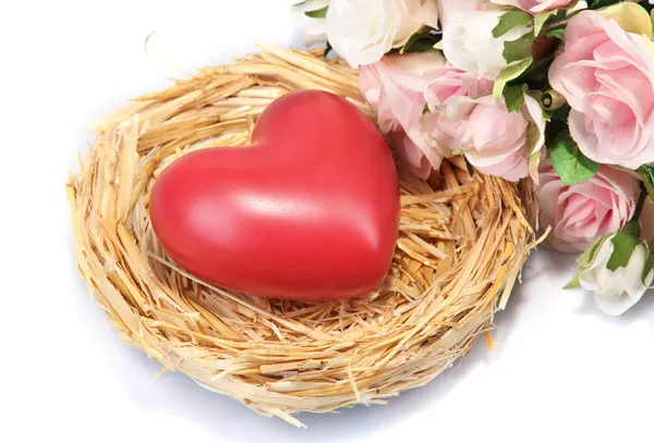 Decorative heart in nest, isolated on white — Stock Photo, Image