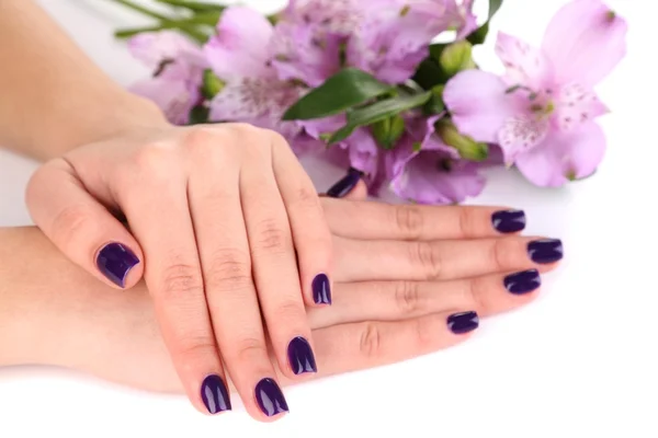 Belles mains de femme avec des fleurs isolées sur blanc — Photo