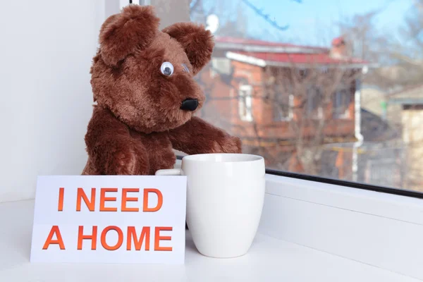 Toy-bear looking out window close-up — Stock Photo, Image