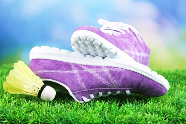 Beautiful gumshoes and shuttlecocks on green grass on bright background — Stock Photo, Image