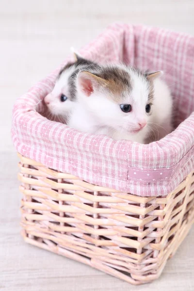 可爱的小小猫在柳条编织的篮子 — 图库照片