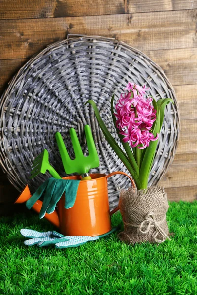 Composición con equipo de jardín y hermosa flor de jacinto rosa en maceta, sobre hierba verde, sobre fondo de madera — Foto de Stock