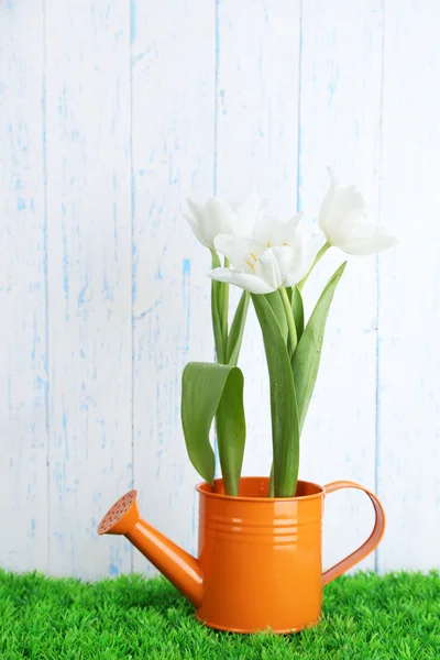 Beautiful tulips in decorative watering can  on green grass, on wooden background — Stock Photo, Image