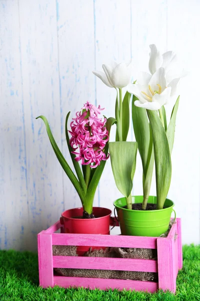 Beautiful tulips and hyacinth flower on  wooden box on color wooden background — Stock Photo, Image