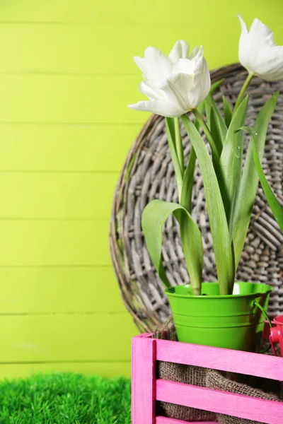 Beautiful tulips in wooden basket, on green grass on color wooden background — Stock Photo, Image
