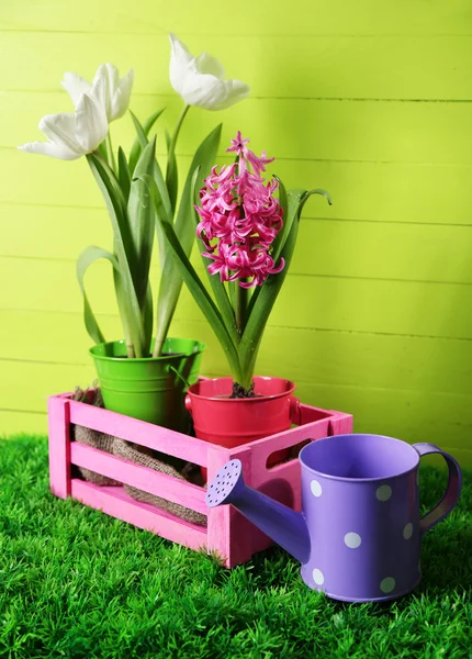 Vackra tulpaner och hyacint blomma på trälåda på färg trä bakgrund — Stockfoto