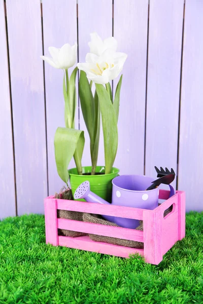 Schöne Tulpen in Holzkorb, auf grünem Gras auf farbigem Holzhintergrund — Stockfoto